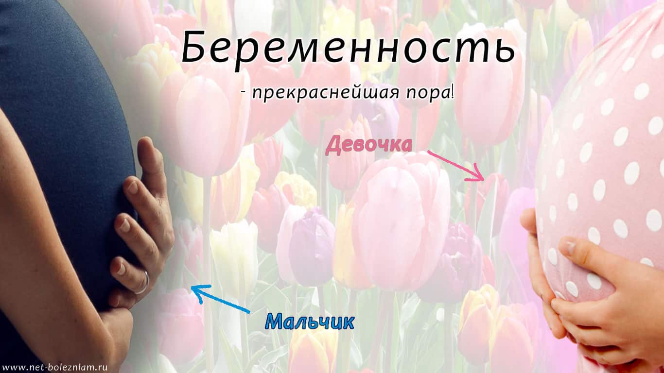 Киров спорт для беременных 9